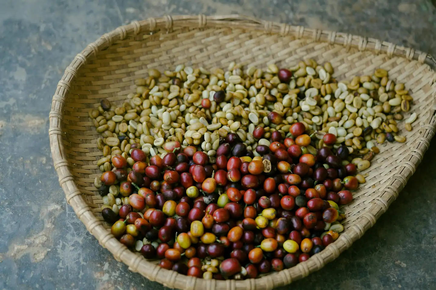 Interesting Facts About Vietnam